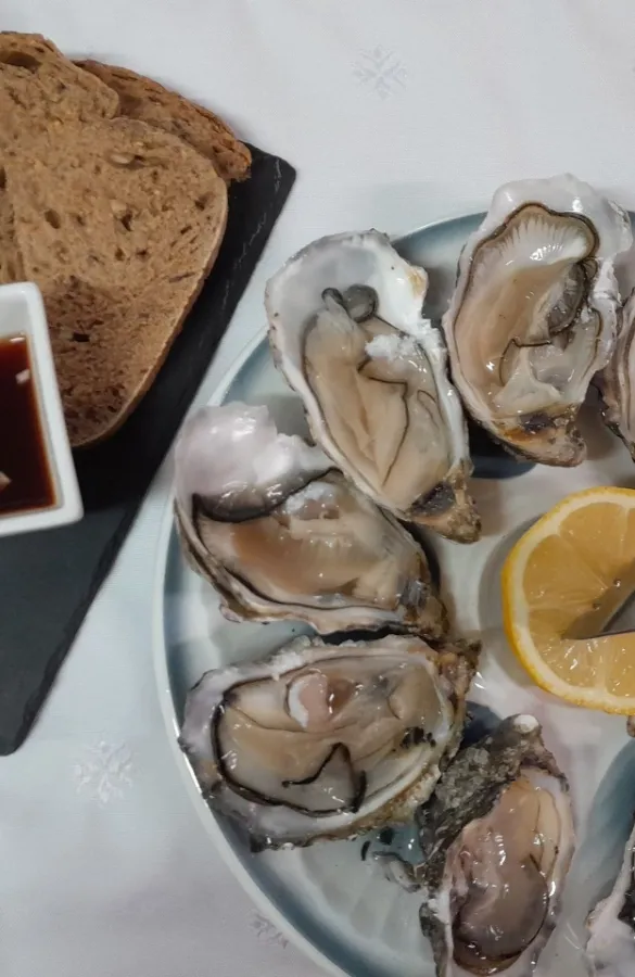 imgi_117_312257608_913372272969340_9058960241011180217_n@2x