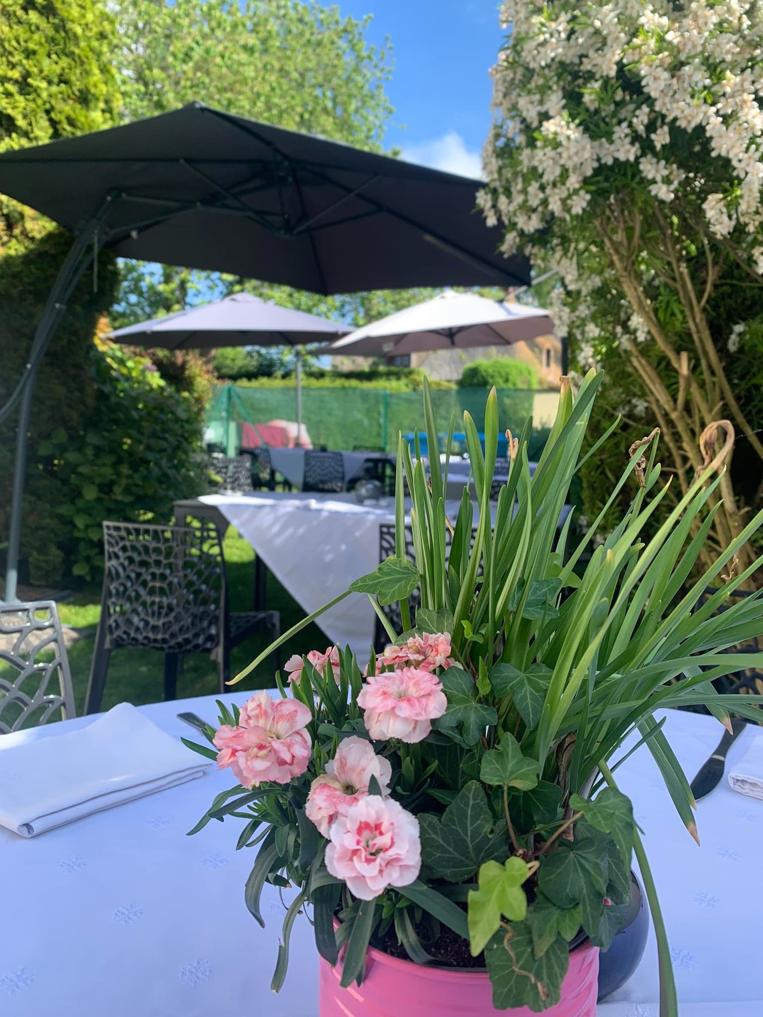 imgi_92_493863962_1296144709180833_1715561568284411214_n